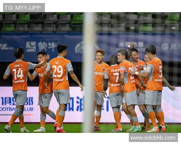 赛后分析深圳足球队与重庆足球队的战术配合与表现评估