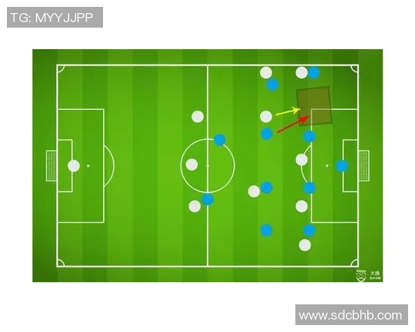 南京排球队灵活性探讨:提升竞技水平与战术应变能力的关键因素